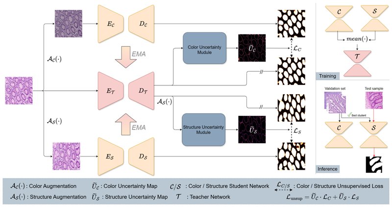 Framework figure