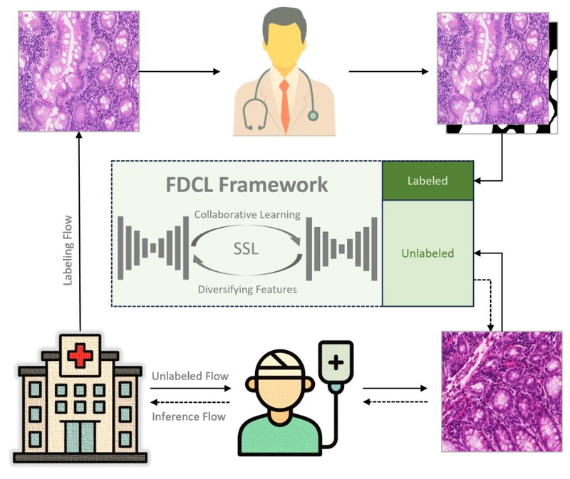 Framework figure